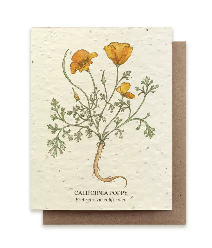 California Poppy Plantable Card