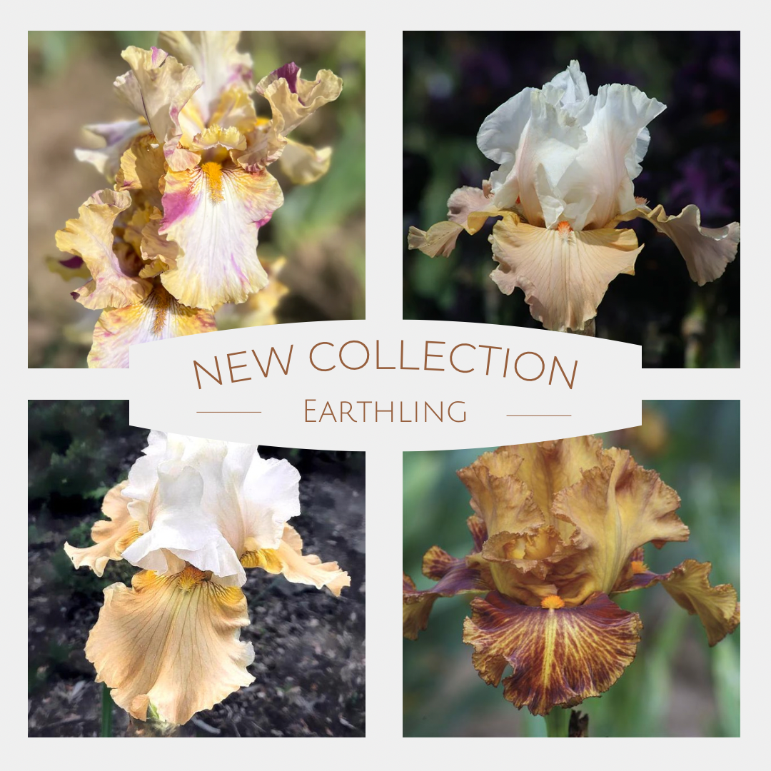 Earthling Iris Collection