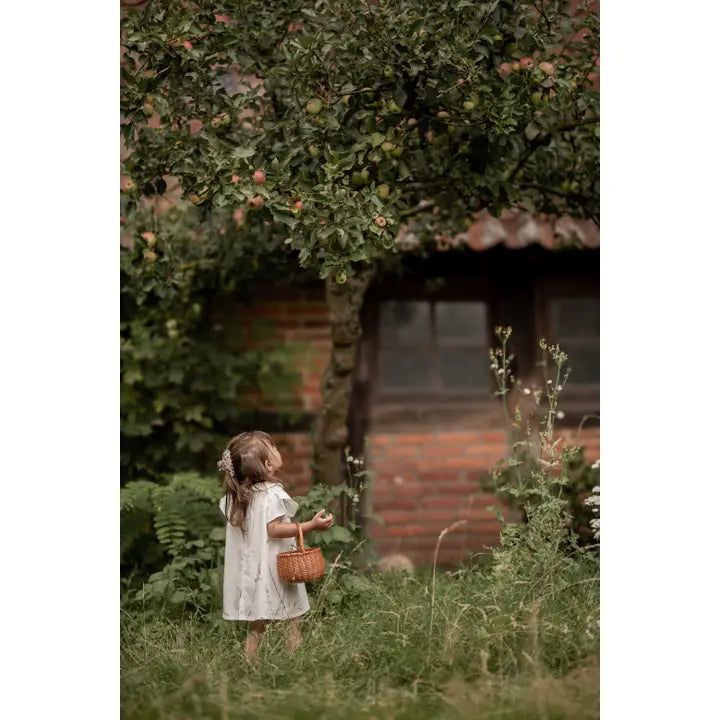 Nora Cotton Dress with Collar - White