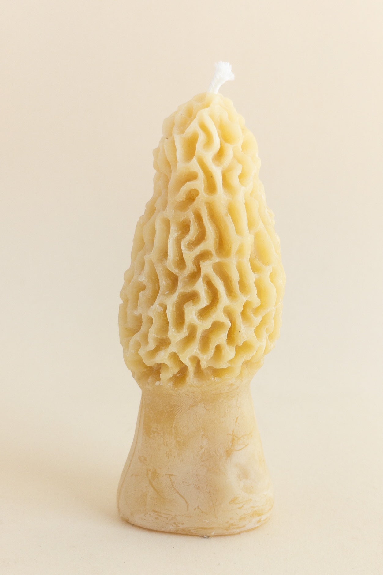 Morel Mushroom Beeswax Candle