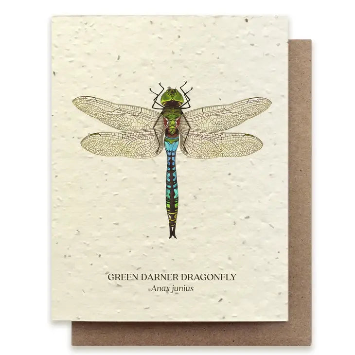 Green Darner Dragonfly Plantable Card