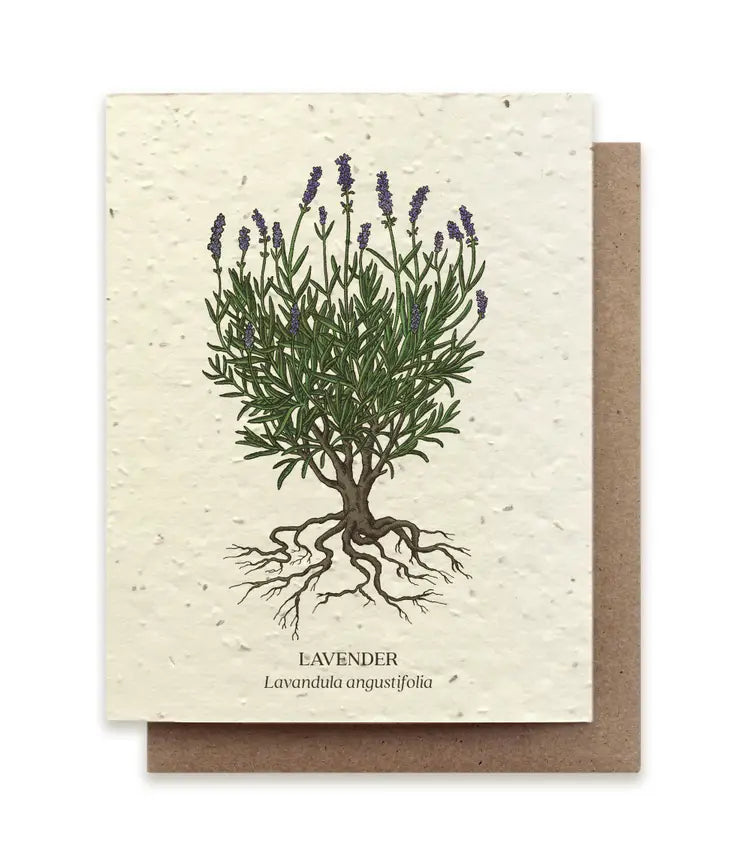 Lavender 
Plantable Card