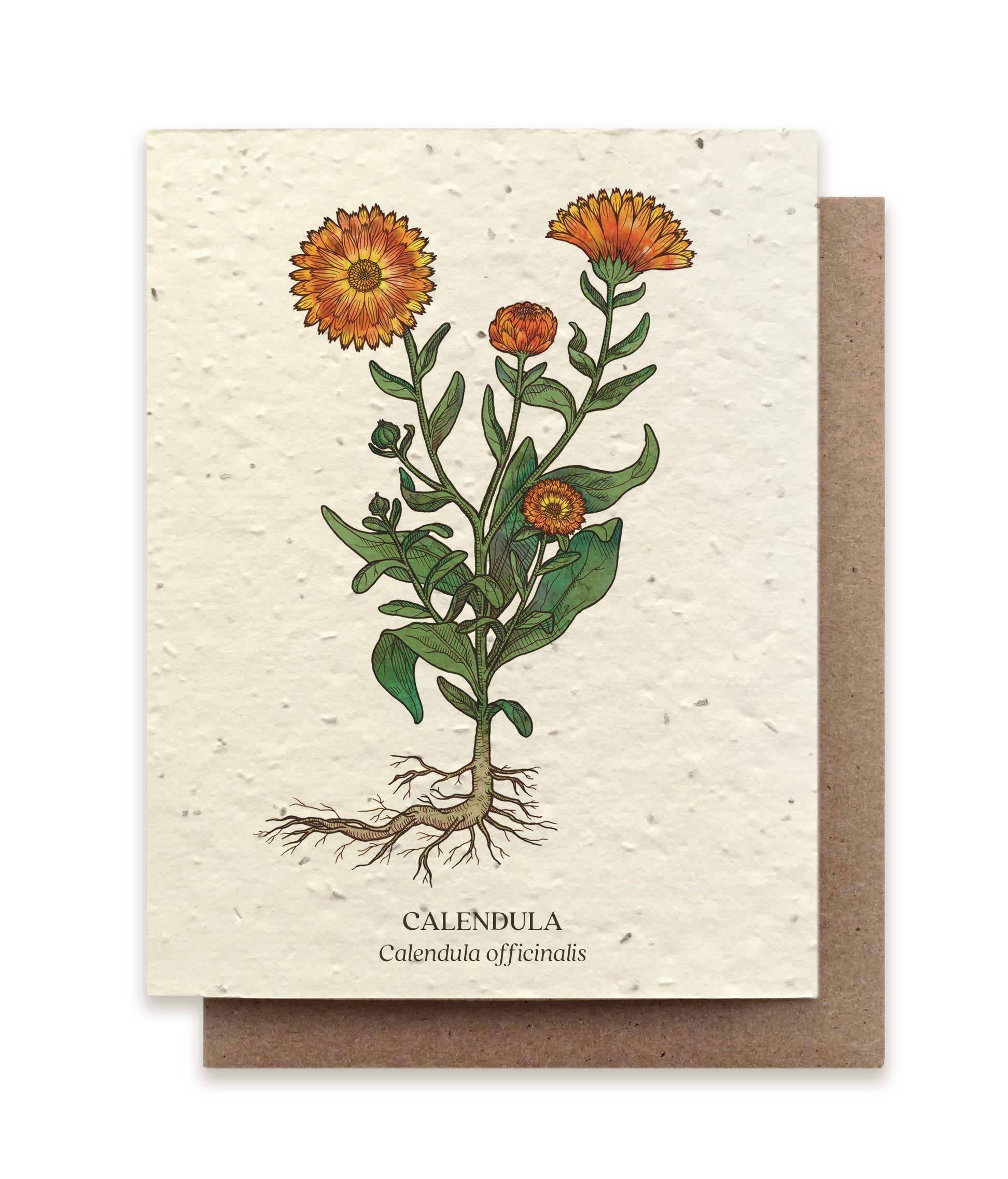 Calendula Plantable Wildflower Seed Card